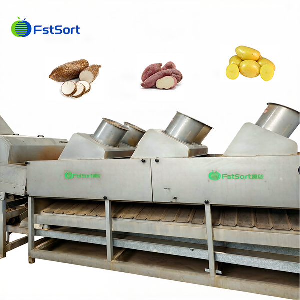 Advanced Sweet Potato Washing Roller Sorting Machine factory