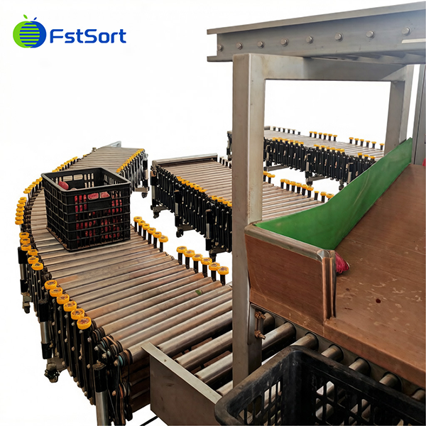 Advanced Sweet Potato Washing Roller Sorting Machine best