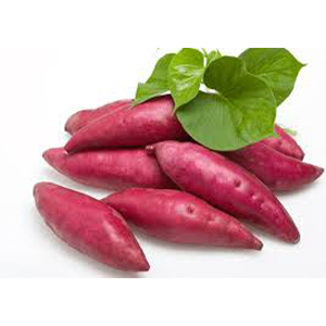 Ien Top Sweet Potato Brand yn Sina