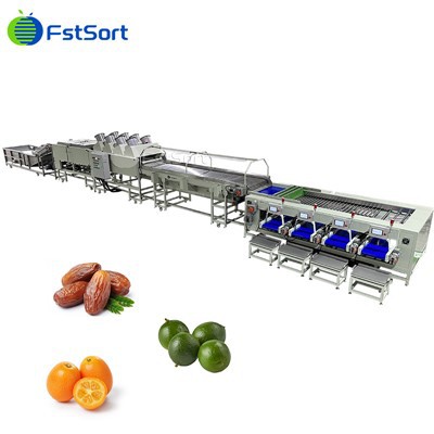 Kumquat Washing Sortearjen Grading Machine